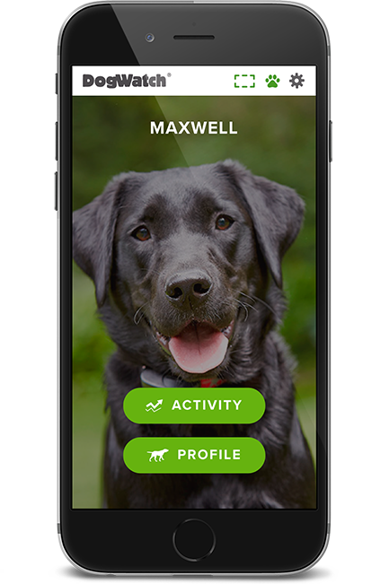 DogWatch of San Diego & Inland Empire, Murrieta, California | SmartFence WebApp Image