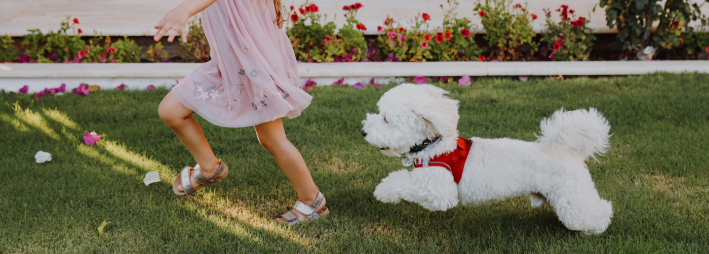 DogWatch of San Diego & Inland Empire, Murrieta, California | Outdoor Hidden Dog Fences Slider Image